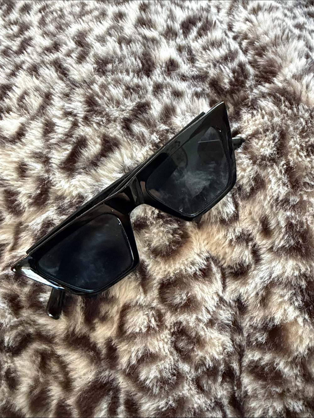 Glossy Black Sunglasses